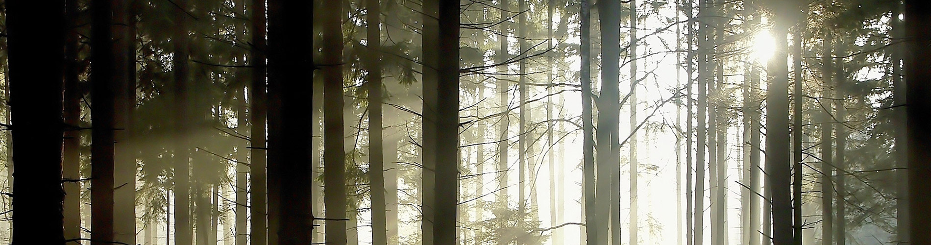 Slide background